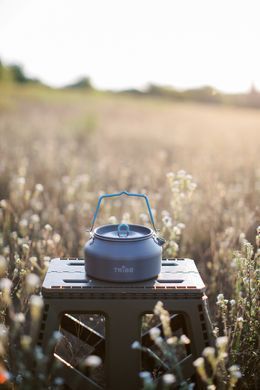 Чайник Tribe Kettle Alu 1 л алюмінієвий T-FI-0013-grey
