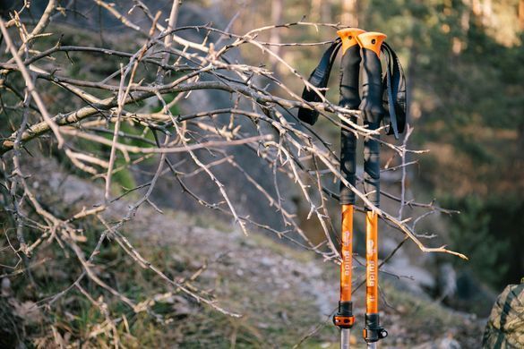 Трекінгові палиці Tramp Guide UTRR-014