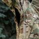 M-Tac куртка Soft Shell MC XS