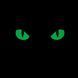 M-Tac нашивка Cat Eyes (Type 2) Laser Cut Coyote/GID