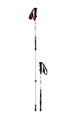 Трекінгові палиці Tramp Trekking 140 Alu 6061 білі (пара) UTRR-003